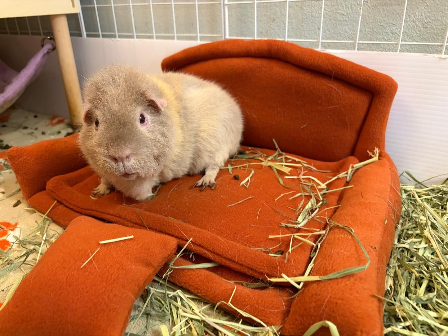 Autumn Mini Sofa