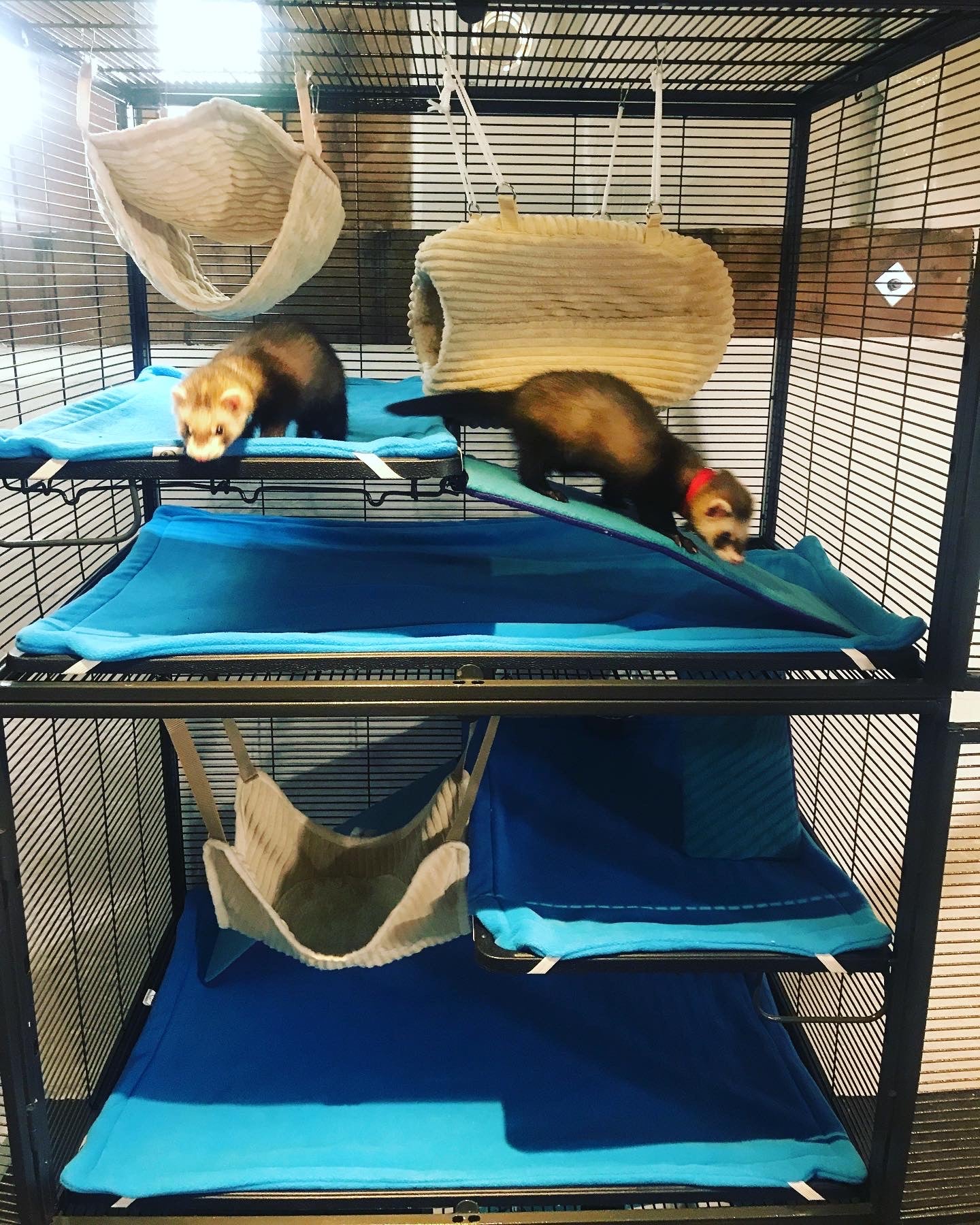 Critter Nation Bottom Cage Liner