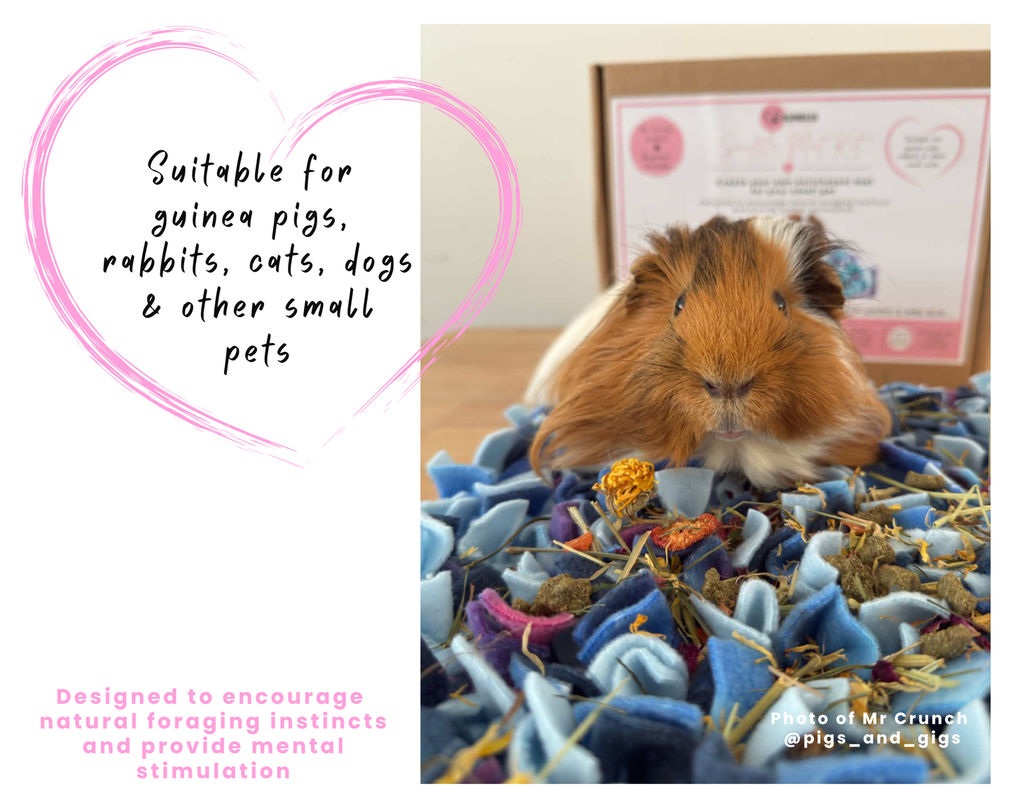 Snuffle Mat Kit