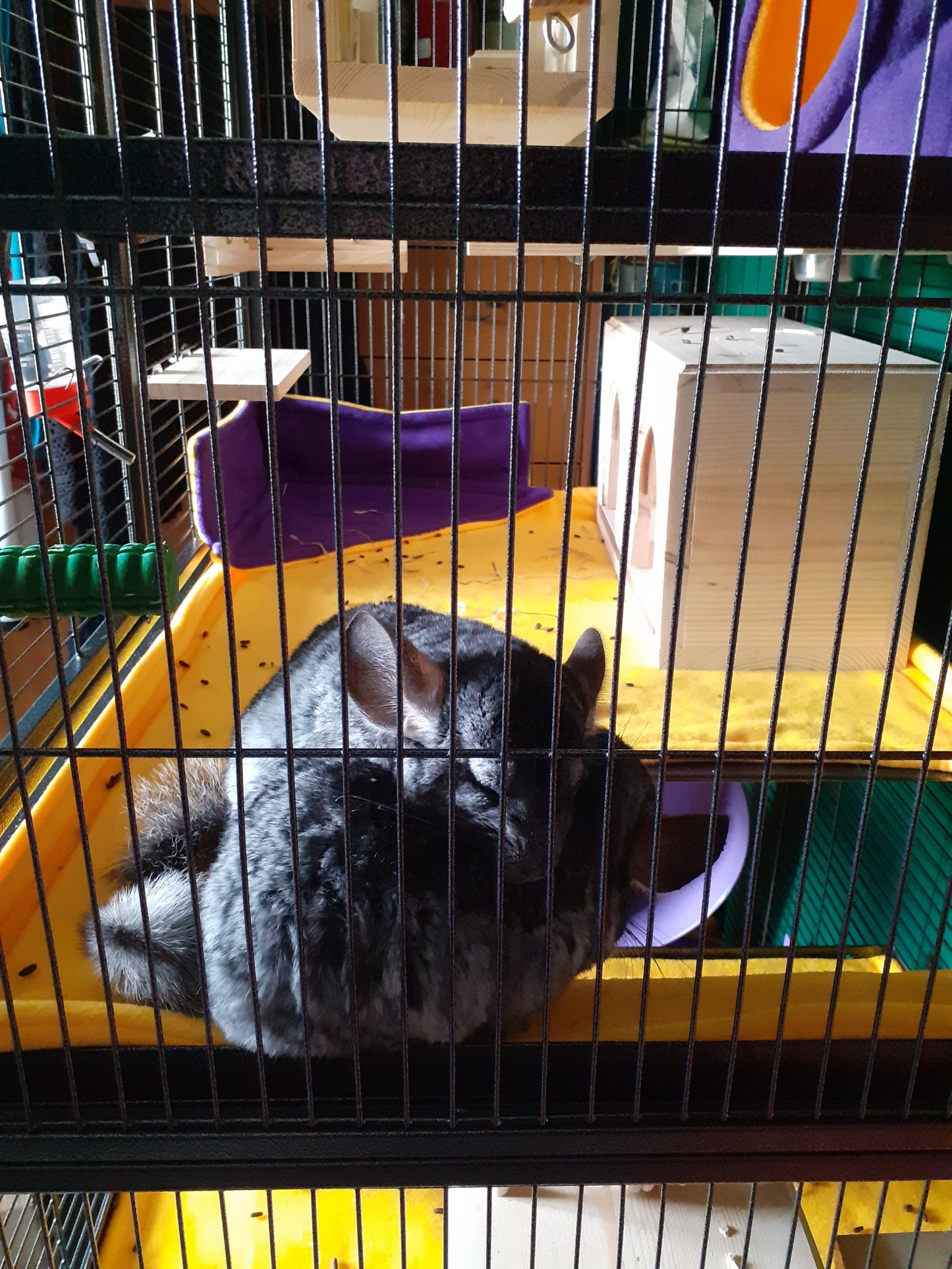 Aventura Top Cage Liner