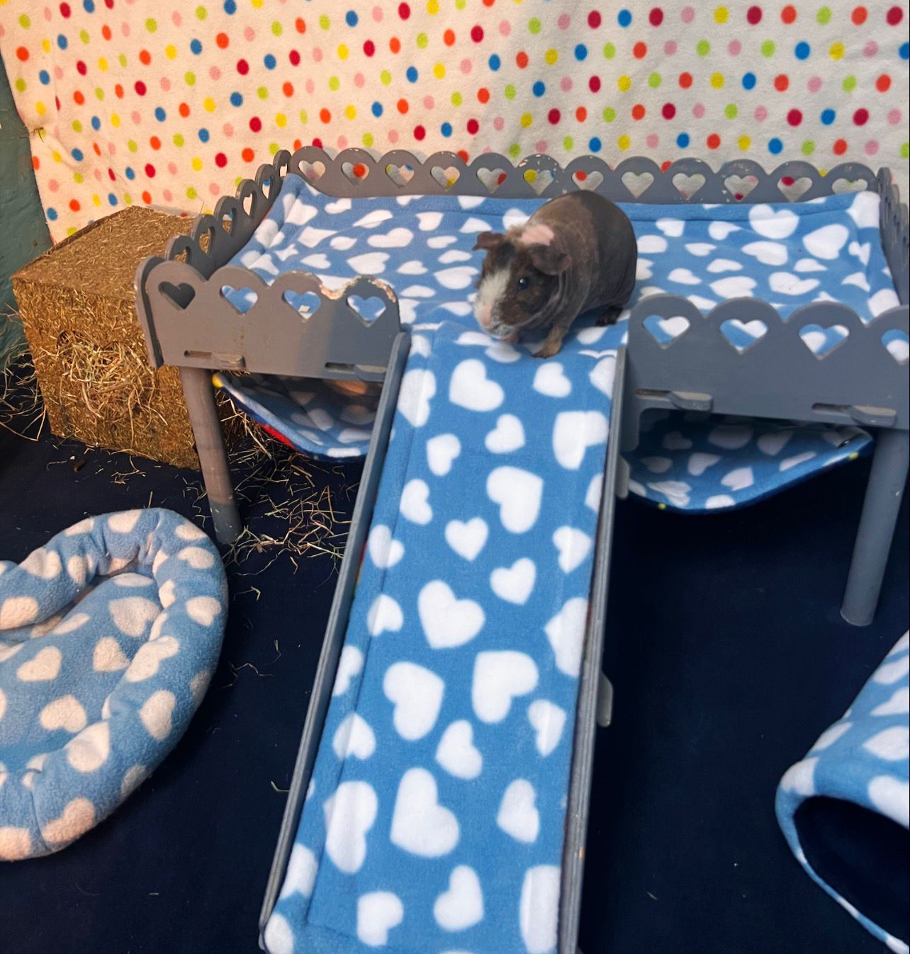 Guinea Pig Double Hammock Stand Loft Liner