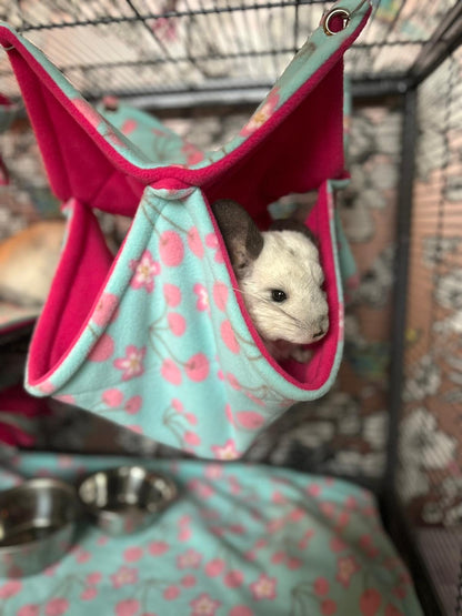Double Hammock