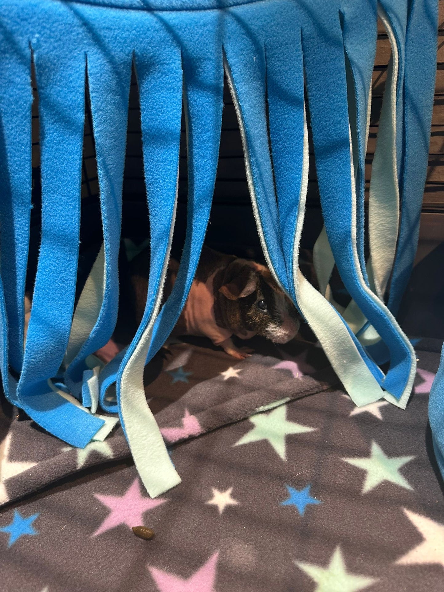 Corner Fleece Forest