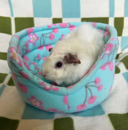 Cuddle Cup & Pee Pad