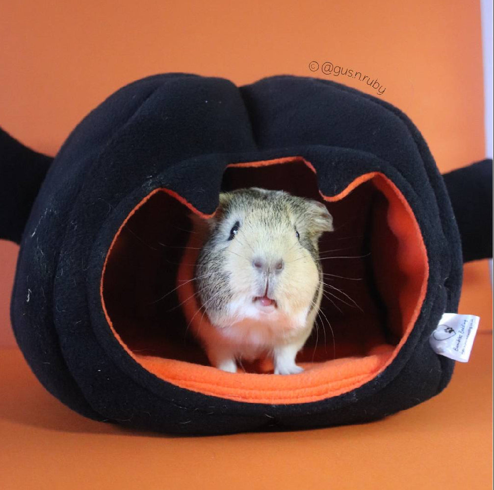 Bat Bed