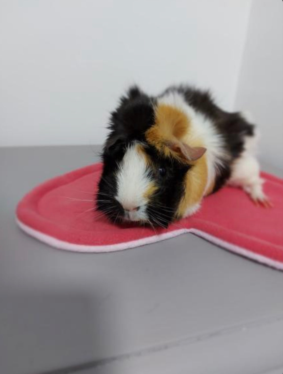 Heart Pee Pad