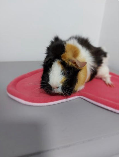 Heart Pee Pad