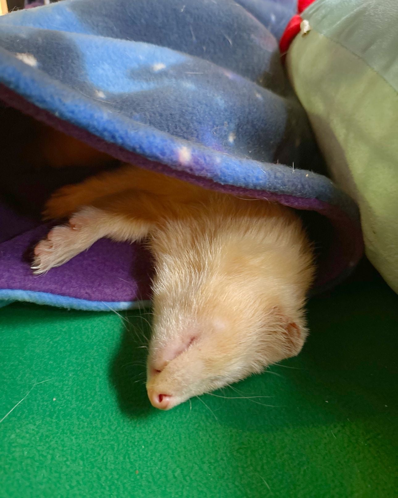 Snuggle Sack