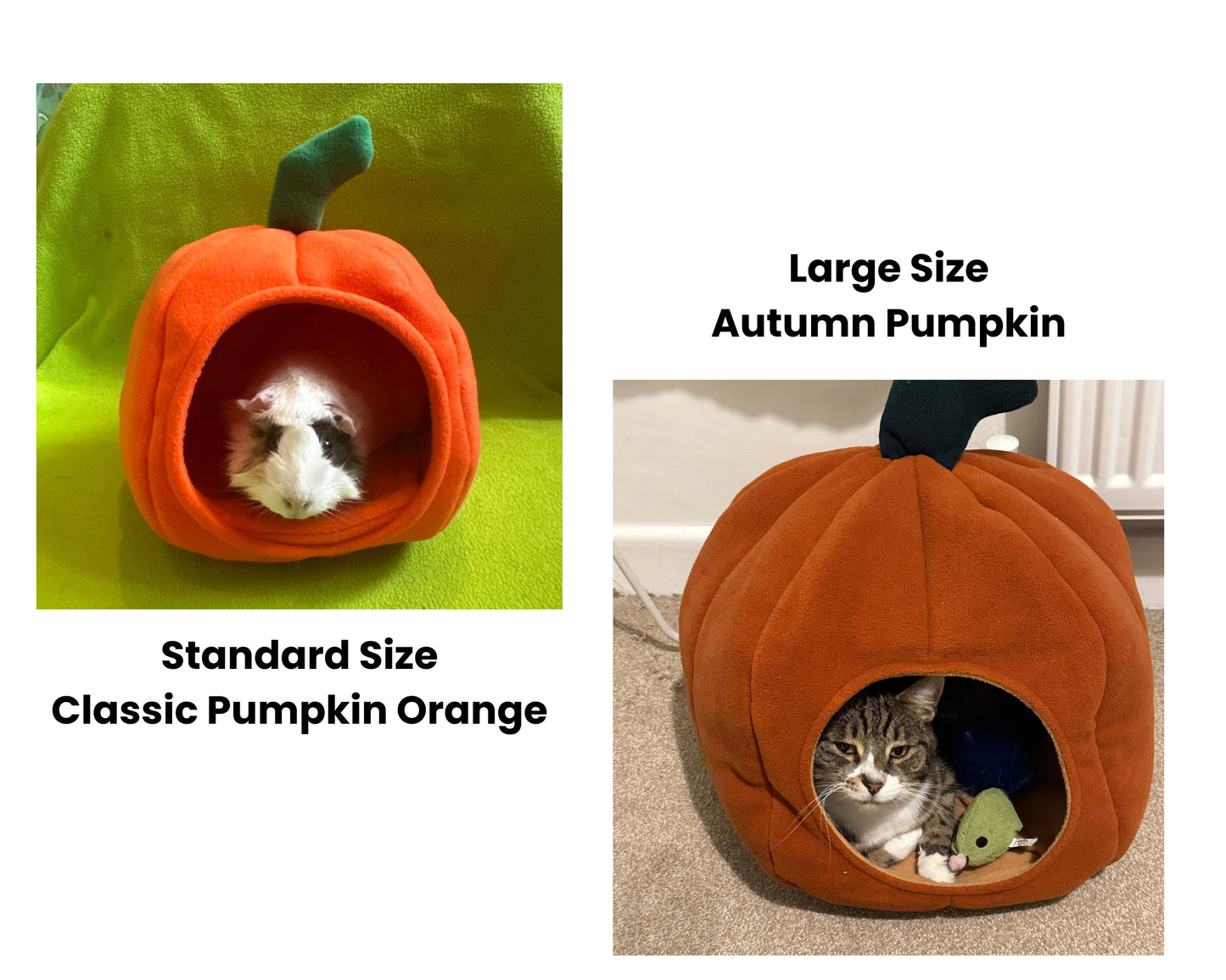 Pumpkin Bed