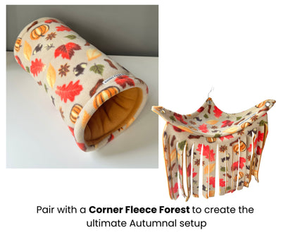 Autumn Cozy Tunnel