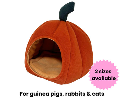 Pumpkin Bed