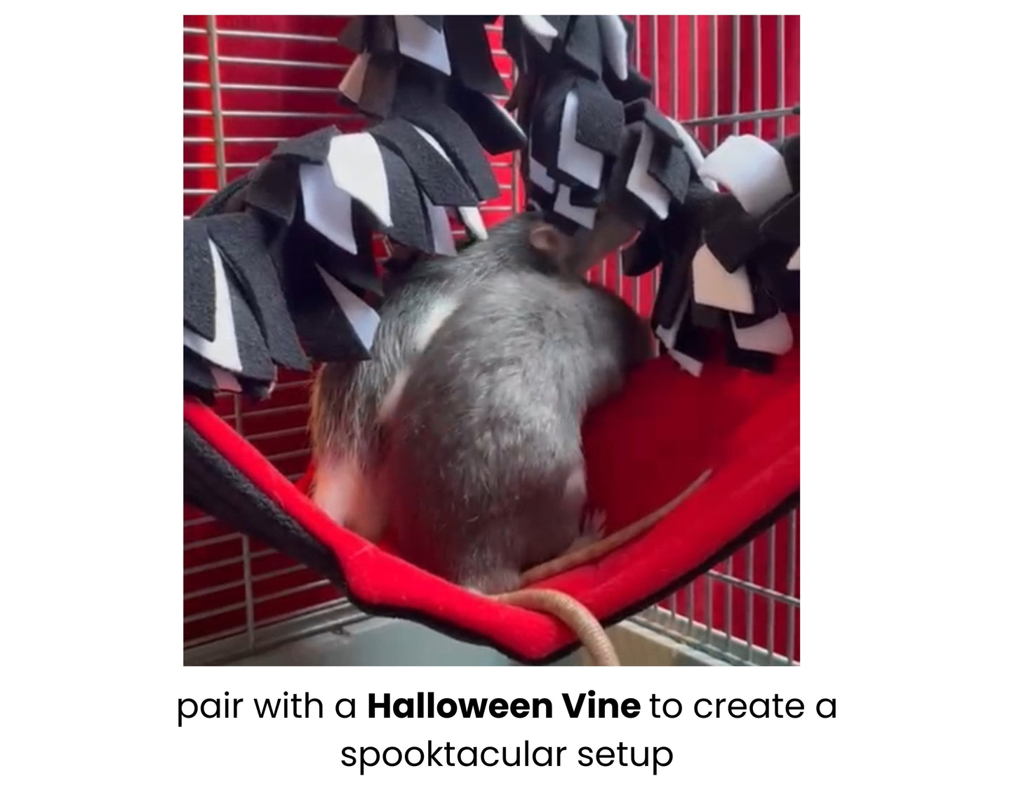 Halloween Vine