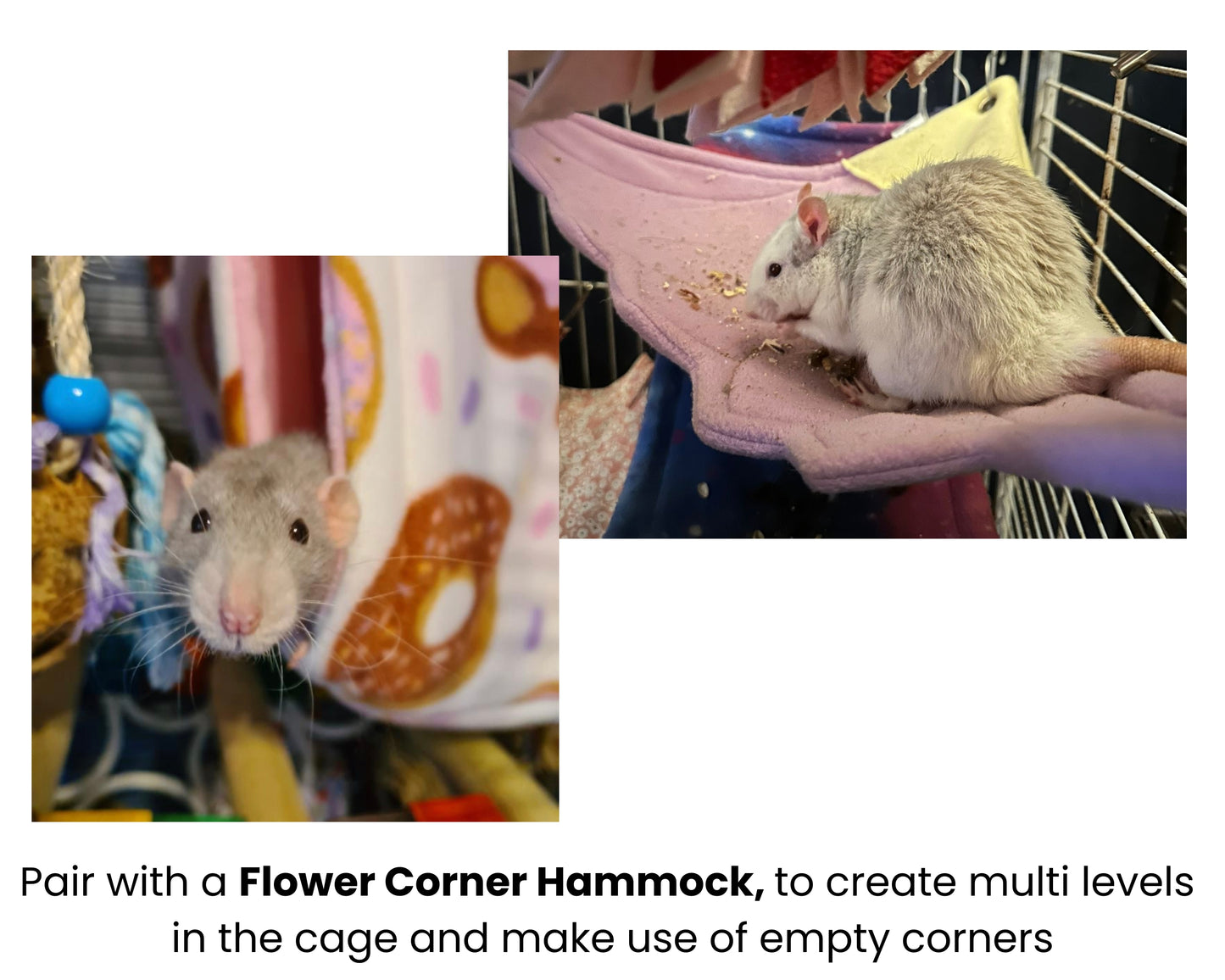 Bumbles Cube Hammock