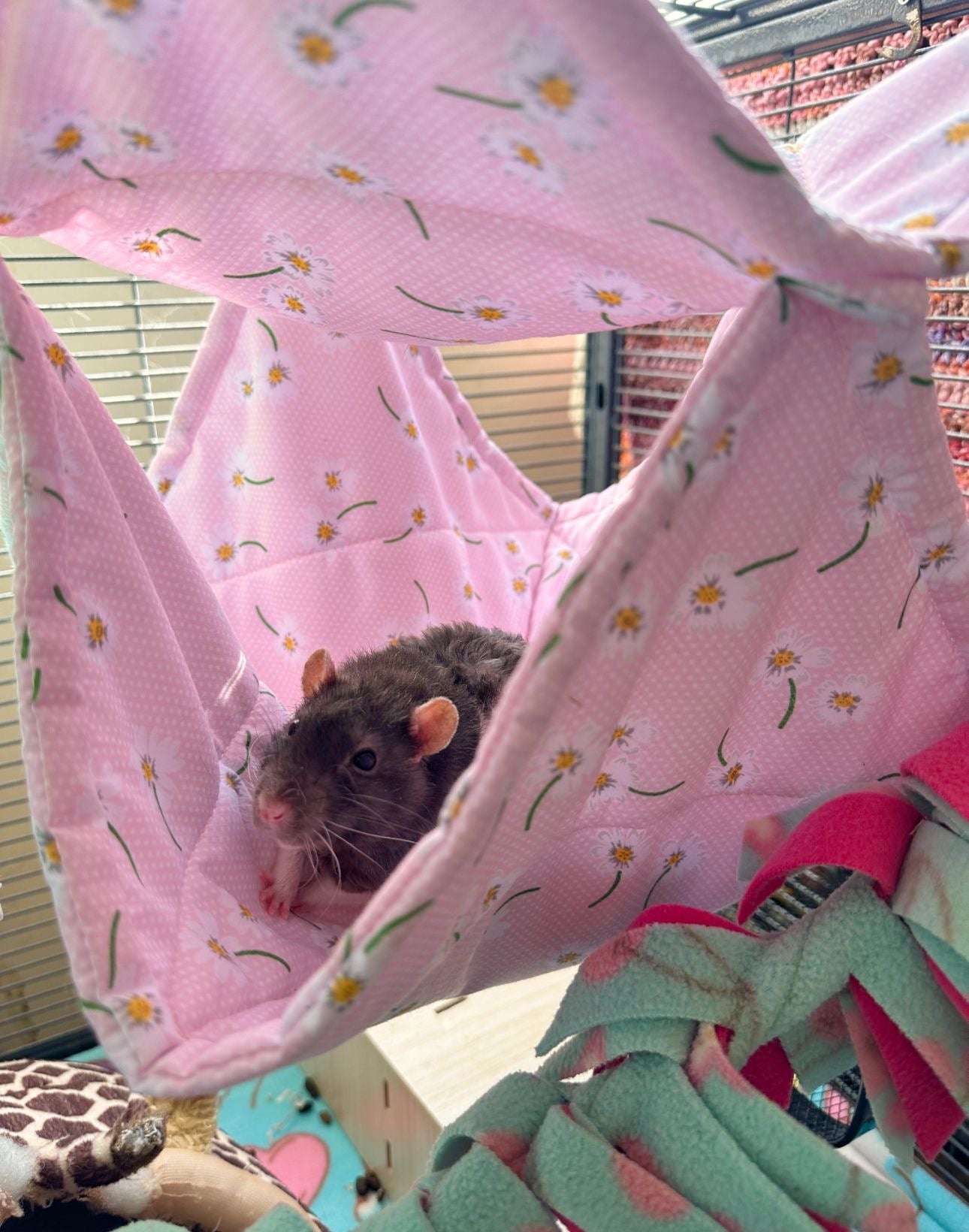 Summer Large Double Hammock