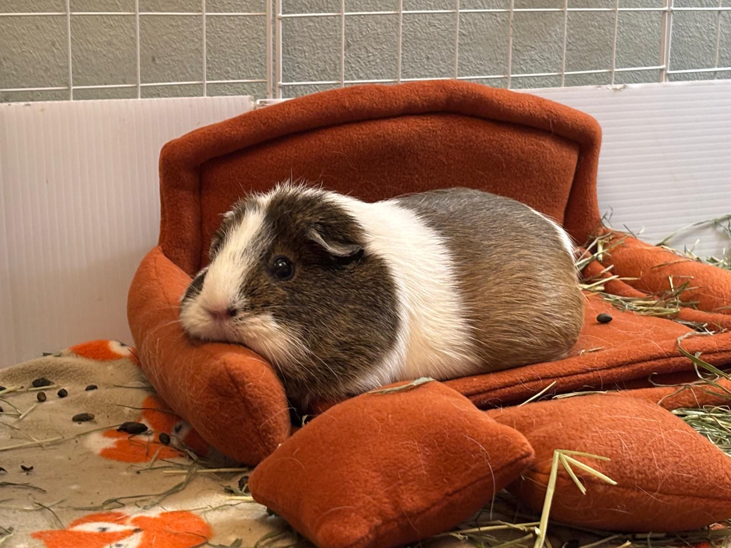 Autumn Mini Sofa