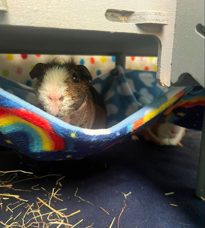 Guinea Pig Hammock - For HHH Hammock Stand