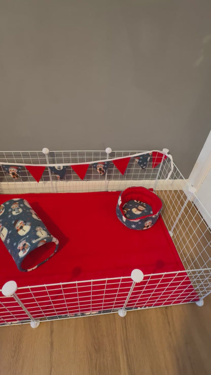 Guinea Pig Christmas Set