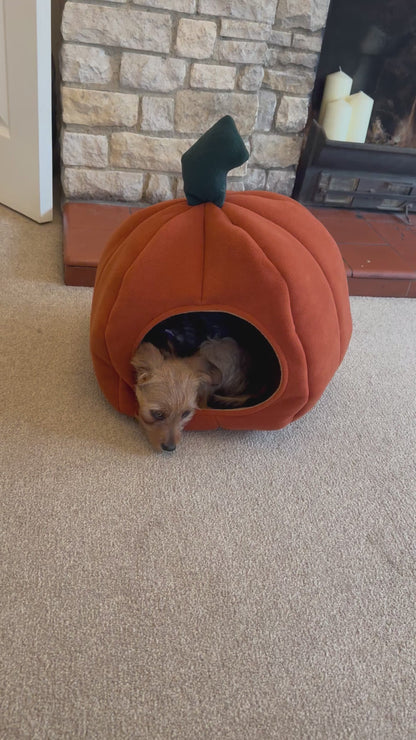 Pumpkin Bed