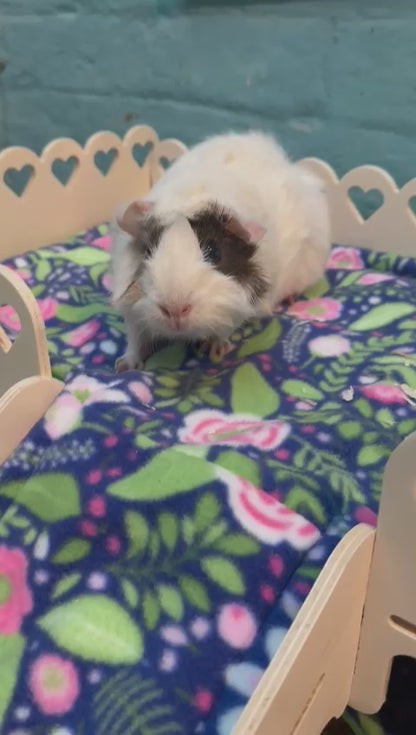 Guinea Pig Double Hammock Stand Loft Liner