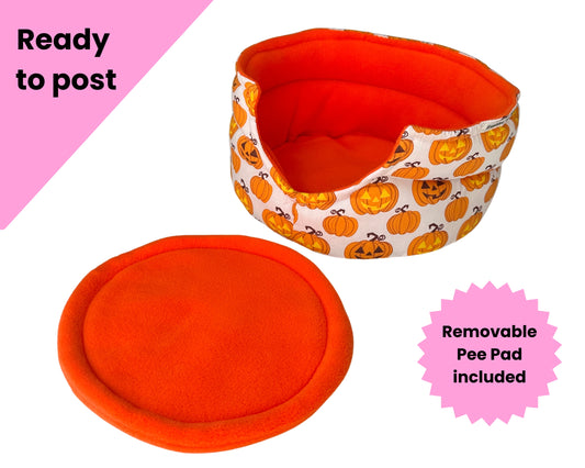 Pumpkin Cuddle Cup