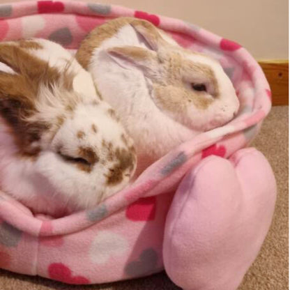 Large Cuddle Cup - Rabbits & Cats