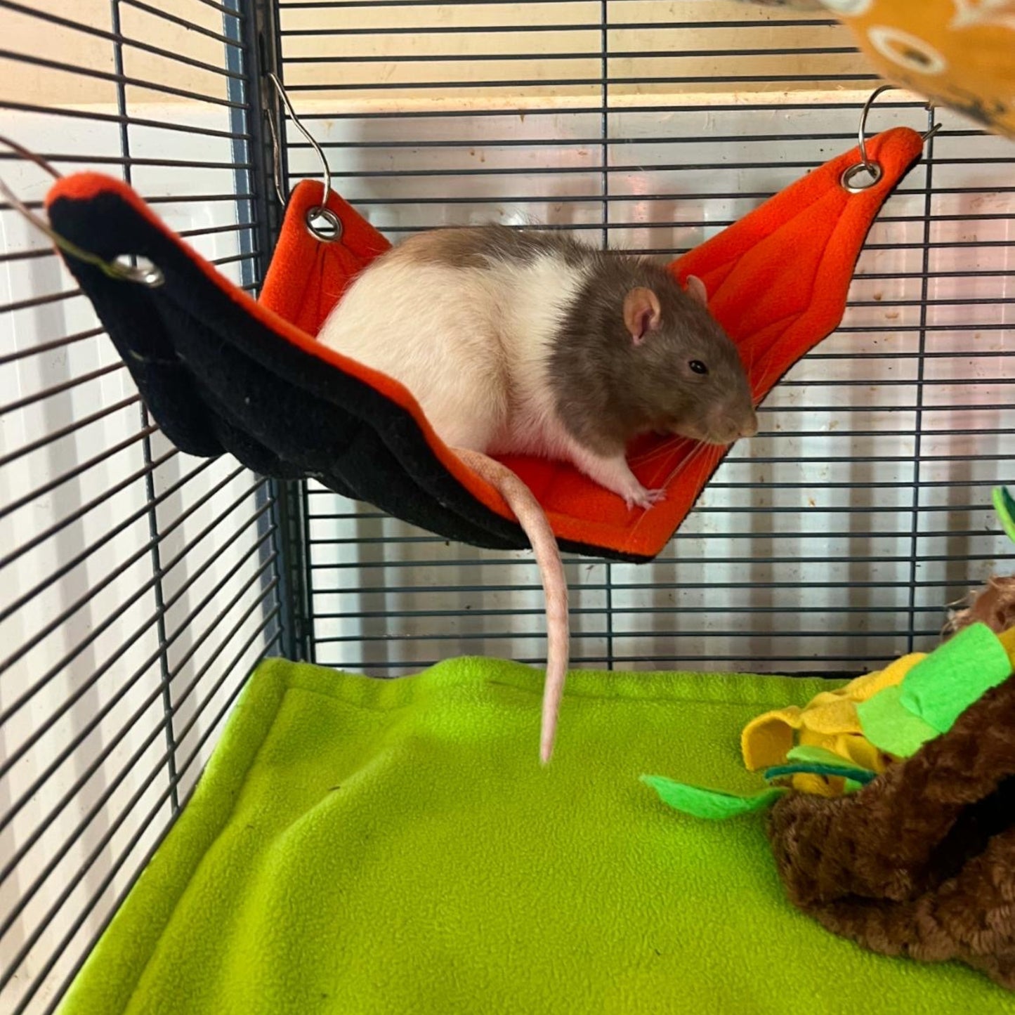 Corner Hammock - Spider Web